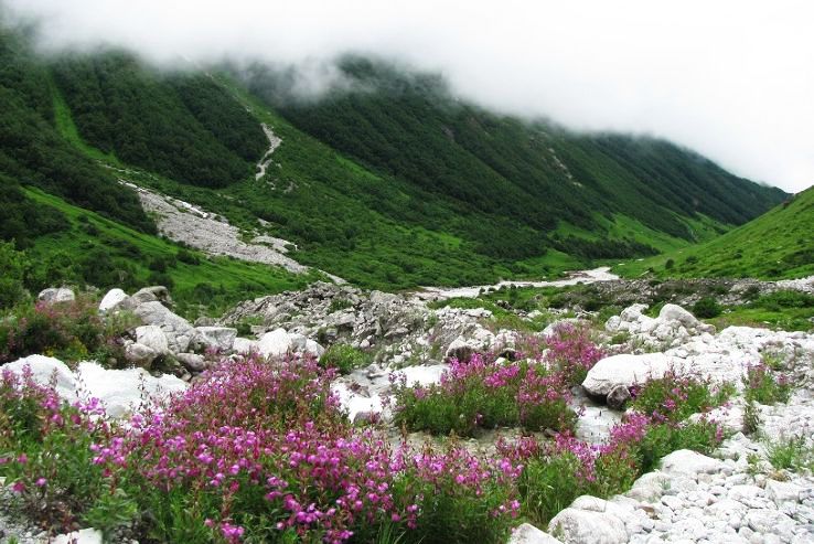 21- Valley Of Flowers National Park